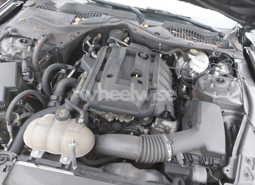 Photo 10 of 2019 Ford Mustang ECOBOOST (VIN 1FA6P8TH0K5141149)