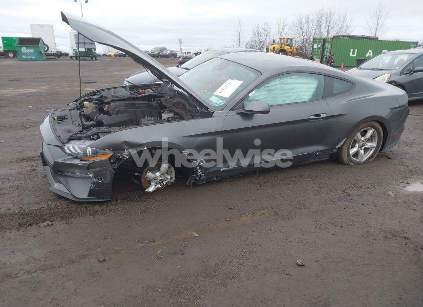 Photo 12 of 2019 Ford Mustang ECOBOOST (VIN 1FA6P8TH0K5141149)