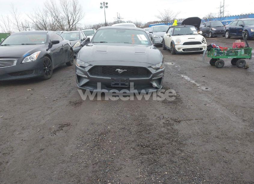 Photo 13 of 2019 Ford Mustang ECOBOOST (VIN 1FA6P8TH0K5141149)