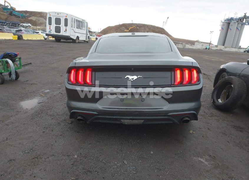 Photo 17 of 2019 Ford Mustang ECOBOOST (VIN 1FA6P8TH0K5141149)