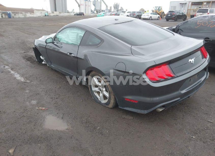 Photo 3 of 2019 Ford Mustang ECOBOOST (VIN 1FA6P8TH0K5141149)