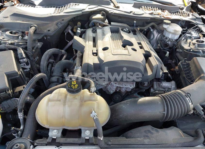 Photo 10 of 2019 Ford Mustang ECOBOOST PREMIUM (VIN 1FA6P8TH0K5163443)