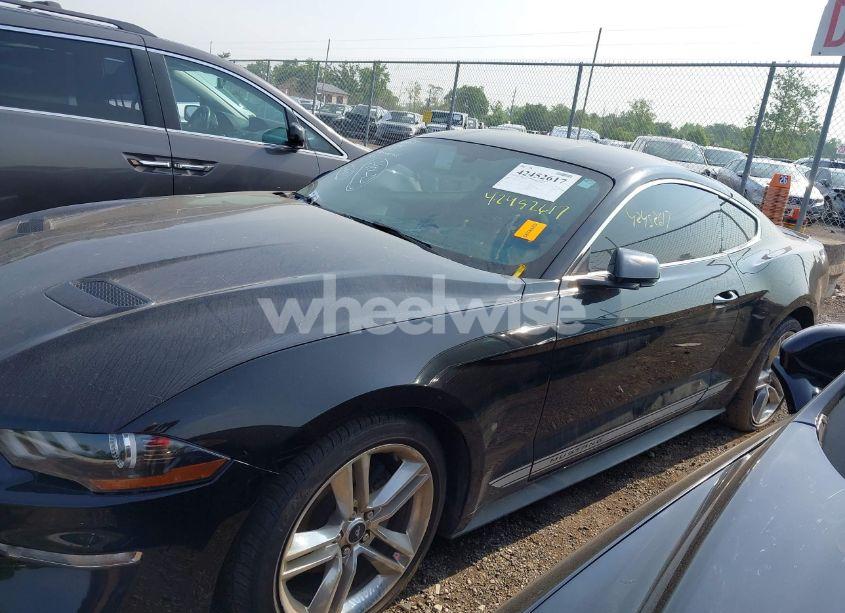 Photo 13 of 2019 Ford Mustang ECOBOOST PREMIUM (VIN 1FA6P8TH0K5163443)