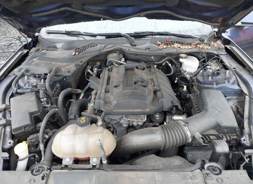 Photo 10 of 2019 Ford Mustang ECOBOOST (VIN 1FA6P8TH0K5199763)