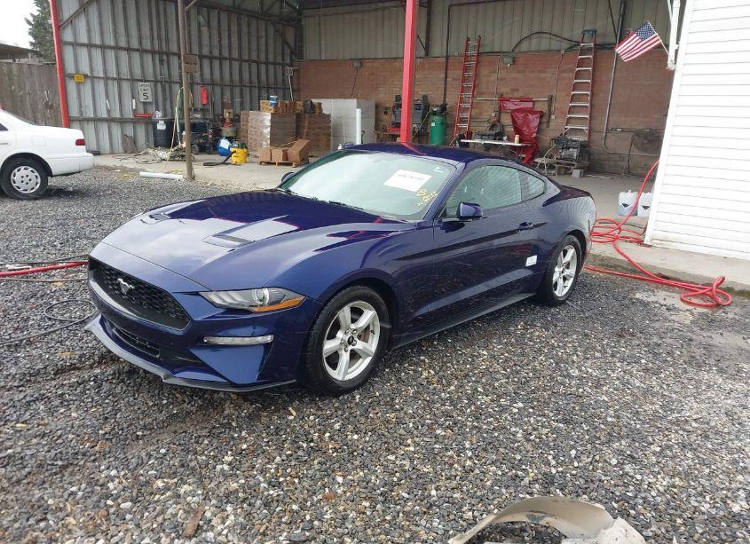 Photo 2 of 2019 Ford Mustang ECOBOOST (VIN 1FA6P8TH0K5199763)