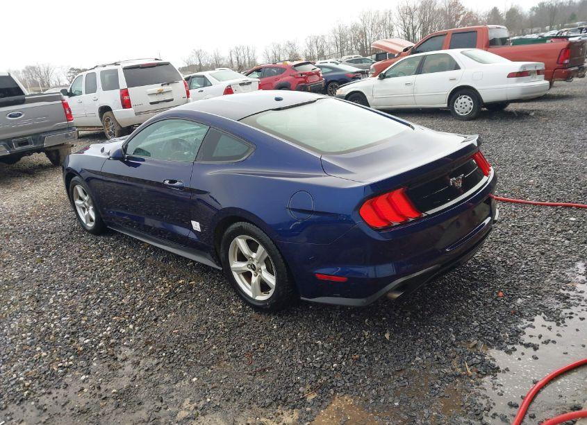 Photo 3 of 2019 Ford Mustang ECOBOOST (VIN 1FA6P8TH0K5199763)
