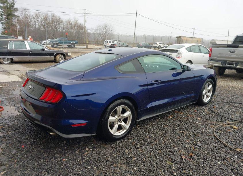 Photo 4 of 2019 Ford Mustang ECOBOOST (VIN 1FA6P8TH0K5199763)