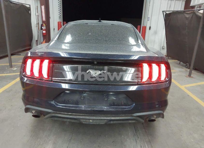Photo 16 of 2021 Ford Mustang ECOBOOST FASTBACK (VIN 1FA6P8TH0M5110017)
