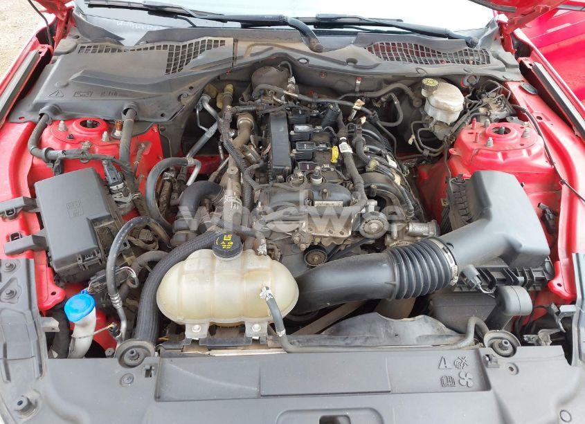 Photo 10 of 2021 Ford Mustang ECOBOOST PREMIUM FASTBACK (VIN 1FA6P8TH0M5115847)