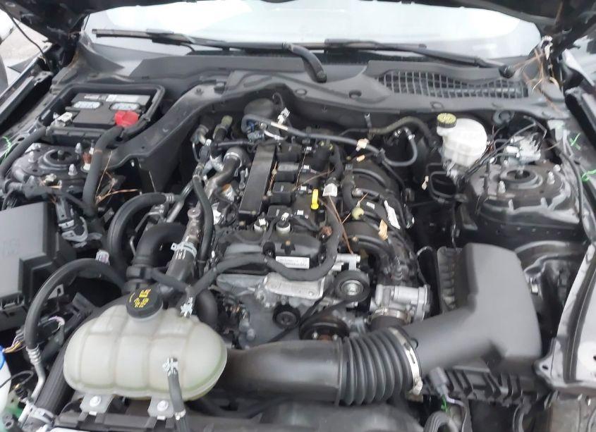 Photo 10 of 2022 Ford Mustang ECOBOOST PREMIUM FASTBACK (VIN 1FA6P8TH0N5110133)