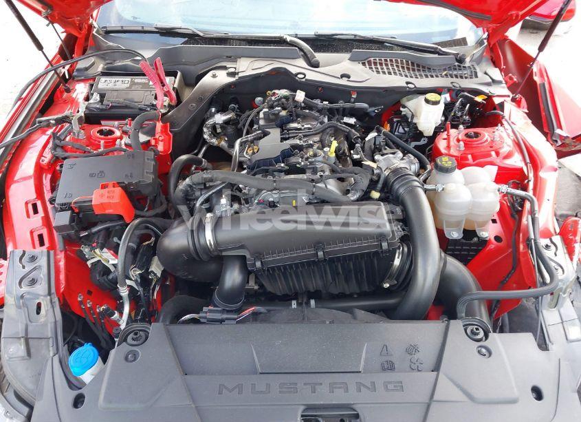 Photo 10 of 2024 Ford Mustang ECOBOOST FASTBACK (VIN 1FA6P8TH0R5106637)