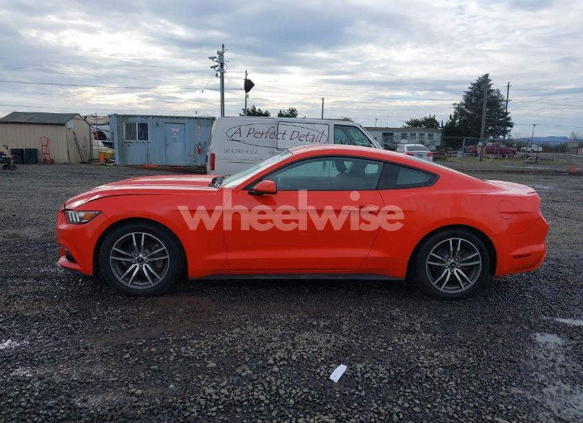 Photo 14 of 2016 Ford Mustang ECOBOOST (VIN 1FA6P8TH1G5231725)