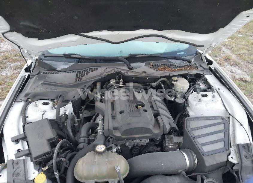 Photo 10 of 2016 Ford Mustang ECOBOOST (VIN 1FA6P8TH1G5243907)