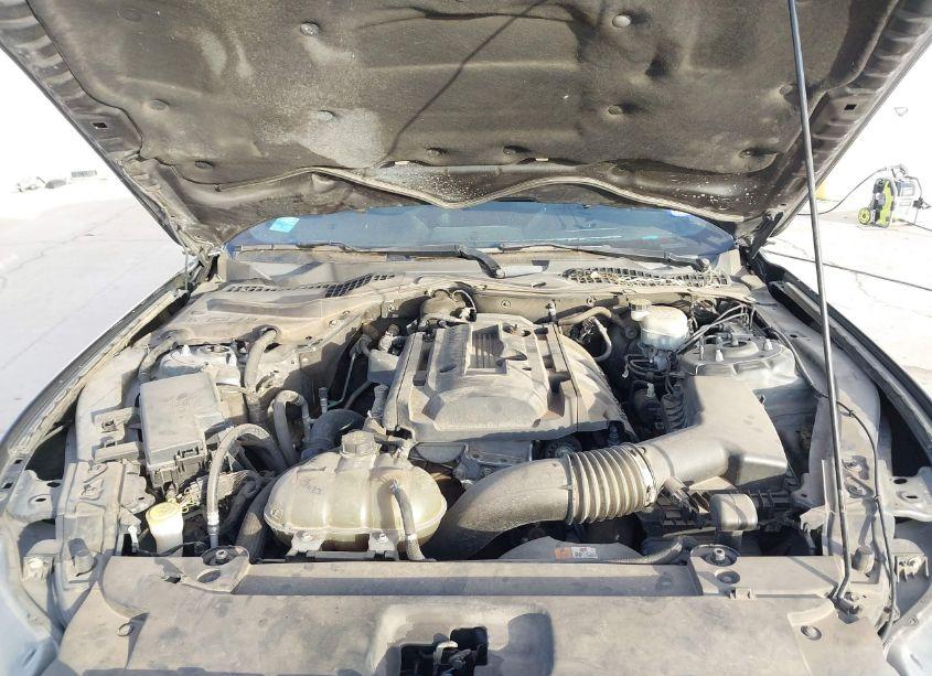 Photo 10 of 2016 Ford Mustang ECOBOOST (VIN 1FA6P8TH1G5246189)