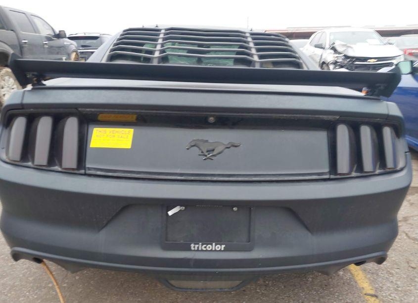 Photo 15 of 2016 Ford Mustang ECOBOOST (VIN 1FA6P8TH1G5289978)