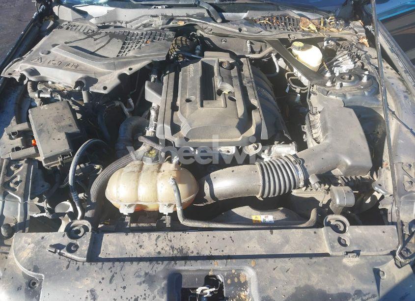 Photo 10 of 2016 Ford Mustang ECOBOOST (VIN 1FA6P8TH1G5290015)