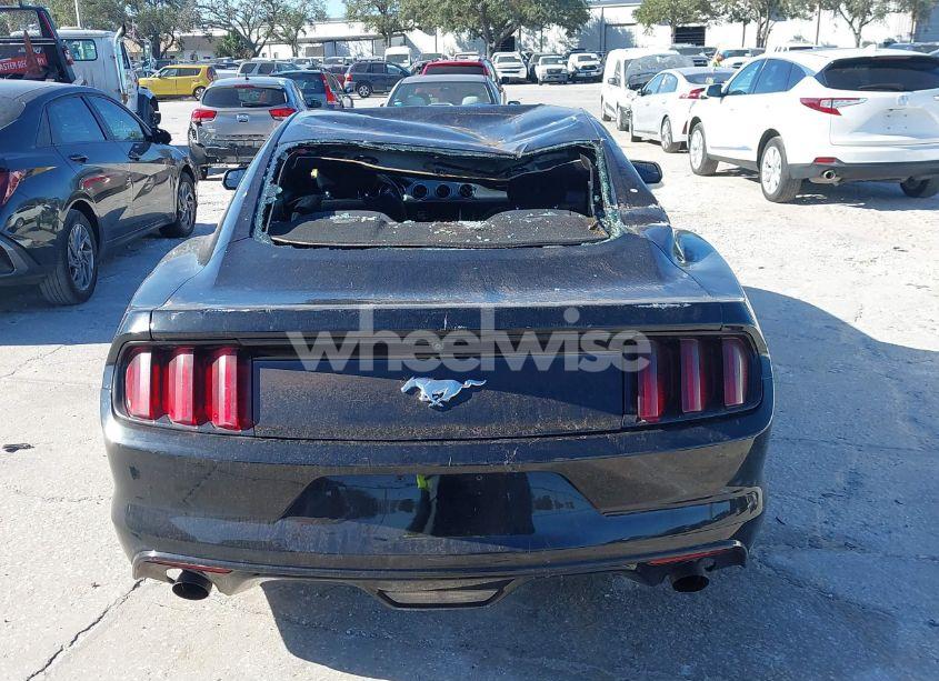 Photo 16 of 2016 Ford Mustang ECOBOOST (VIN 1FA6P8TH1G5326463)
