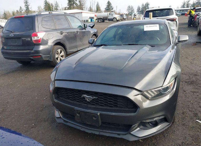 Photo 13 of 2017 Ford Mustang ECOBOOST (VIN 1FA6P8TH1H5201822)