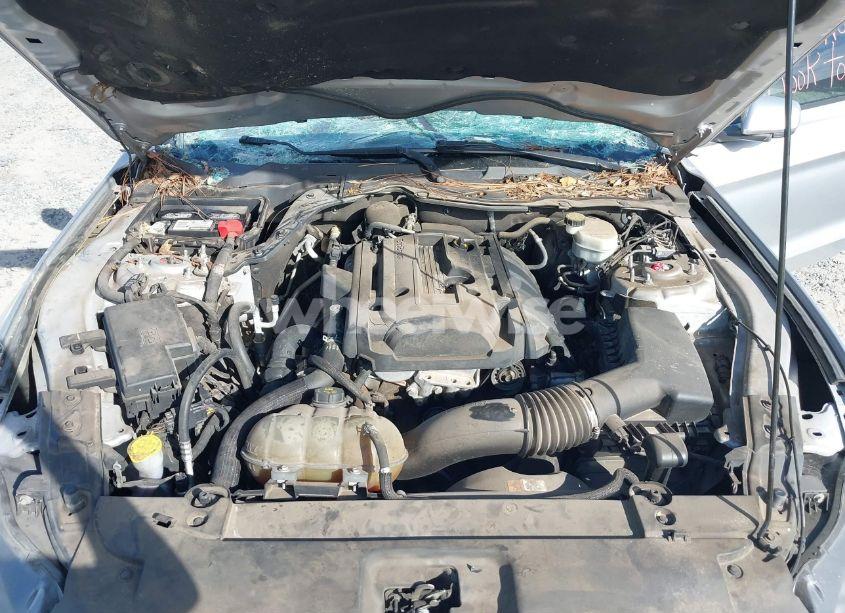 Photo 10 of 2017 Ford Mustang ECOBOOST (VIN 1FA6P8TH1H5202209)