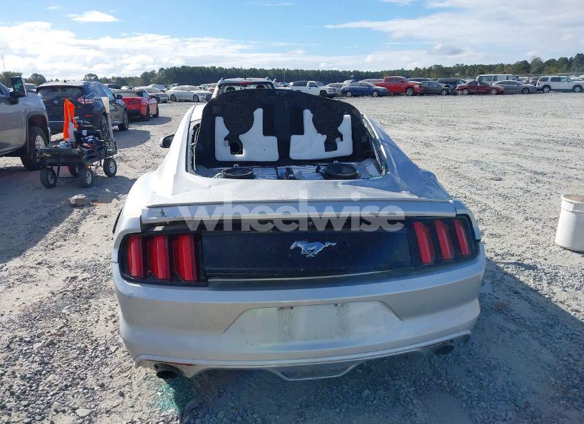 Photo 16 of 2017 Ford Mustang ECOBOOST (VIN 1FA6P8TH1H5202209)