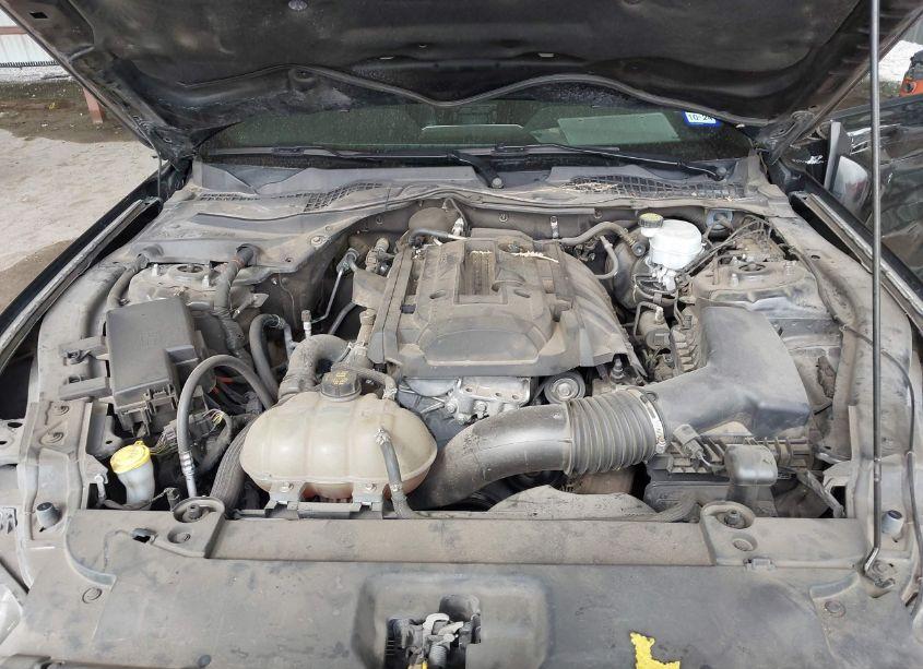 Photo 10 of 2017 Ford Mustang ECOBOOST (VIN 1FA6P8TH1H5273166)