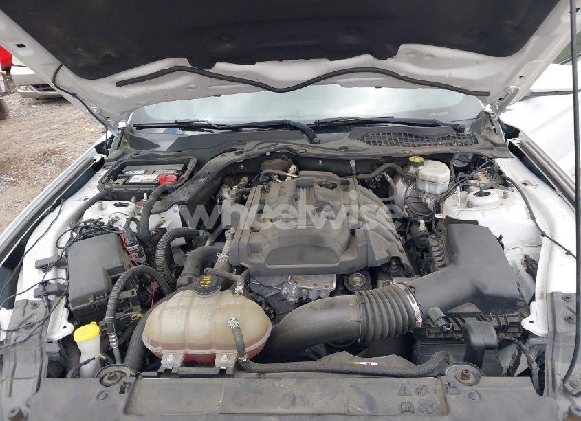 Photo 10 of 2018 Ford Mustang ECOBOOST (VIN 1FA6P8TH1J5137867)