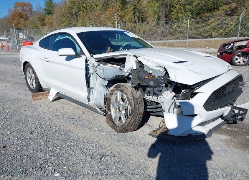 2019 Ford Mustang ECOBOOST (VIN 1FA6P8TH1K5111514) main photo