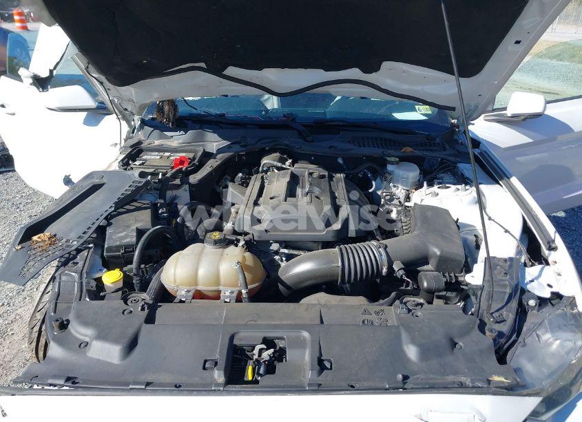 Photo 10 of 2019 Ford Mustang ECOBOOST (VIN 1FA6P8TH1K5111514)