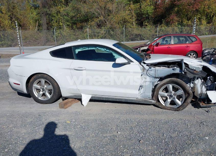 Photo 14 of 2019 Ford Mustang ECOBOOST (VIN 1FA6P8TH1K5111514)