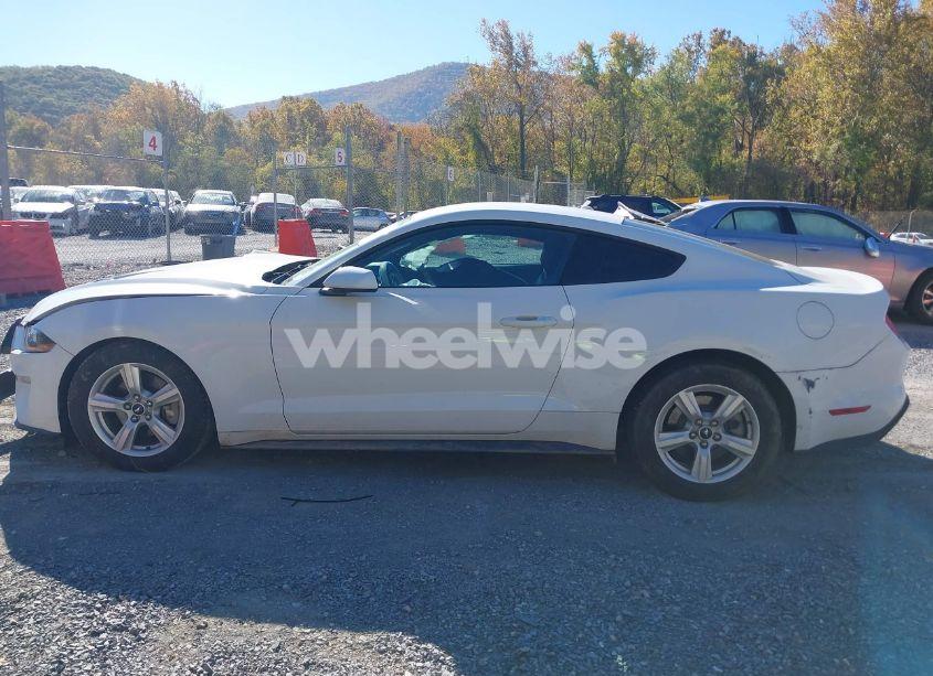 Photo 15 of 2019 Ford Mustang ECOBOOST (VIN 1FA6P8TH1K5111514)