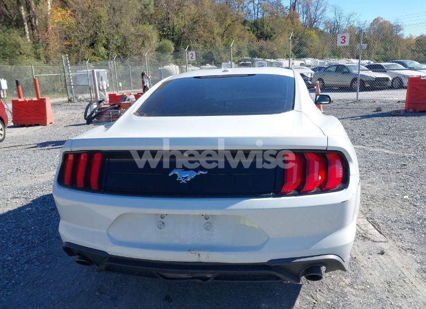 Photo 17 of 2019 Ford Mustang ECOBOOST (VIN 1FA6P8TH1K5111514)