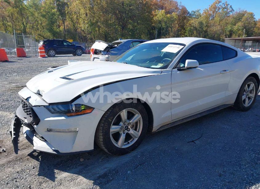 Photo 2 of 2019 Ford Mustang ECOBOOST (VIN 1FA6P8TH1K5111514)
