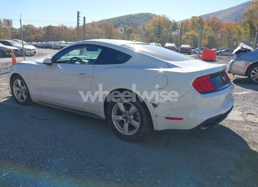Photo 3 of 2019 Ford Mustang ECOBOOST (VIN 1FA6P8TH1K5111514)