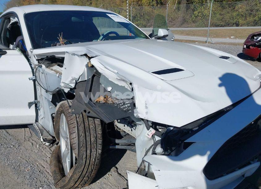 Photo 6 of 2019 Ford Mustang ECOBOOST (VIN 1FA6P8TH1K5111514)