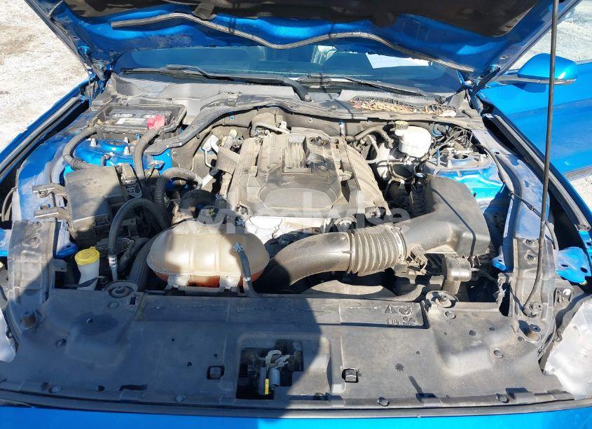 Photo 10 of 2019 Ford Mustang ECOBOOST PREMIUM (VIN 1FA6P8TH1K5141581)