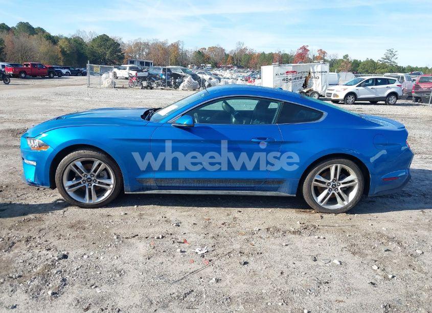 Photo 14 of 2019 Ford Mustang ECOBOOST PREMIUM (VIN 1FA6P8TH1K5141581)