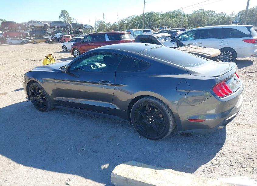 Photo 14 of 2019 Ford Mustang ECOBOOST (VIN 1FA6P8TH1K5187525)