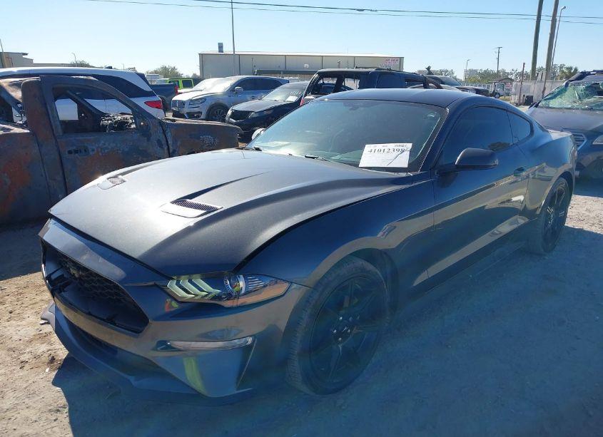 Photo 2 of 2019 Ford Mustang ECOBOOST (VIN 1FA6P8TH1K5187525)