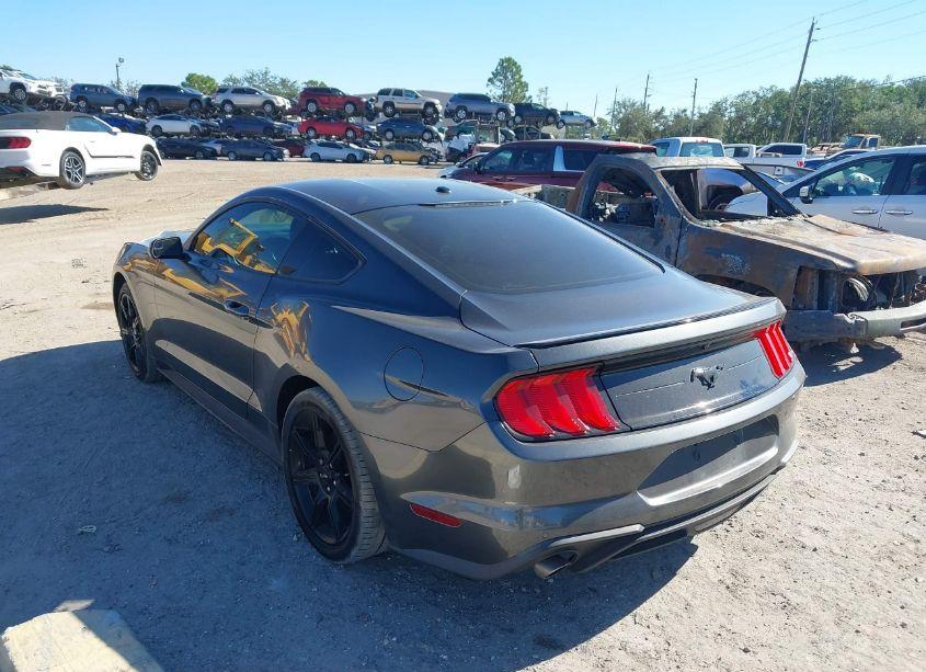 Photo 3 of 2019 Ford Mustang ECOBOOST (VIN 1FA6P8TH1K5187525)