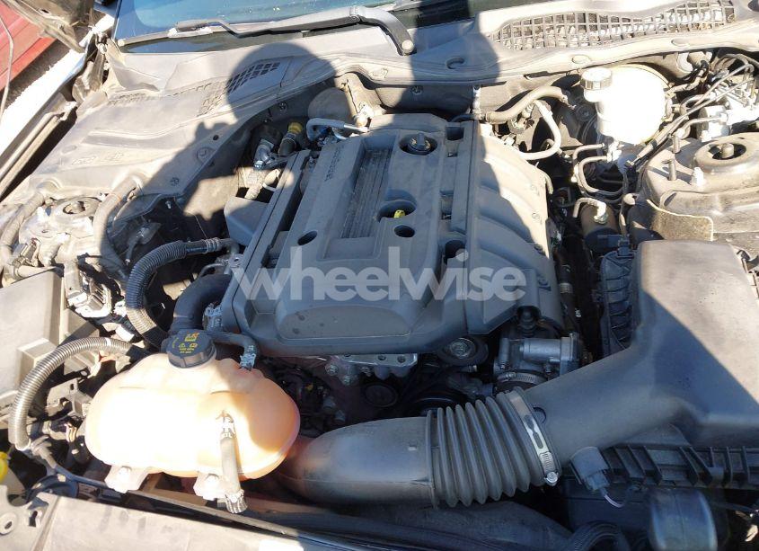 Photo 10 of 2019 Ford Mustang ECOBOOST (VIN 1FA6P8TH1K5201326)
