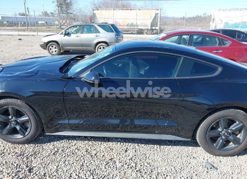 Photo 14 of 2019 Ford Mustang ECOBOOST (VIN 1FA6P8TH1K5201326)