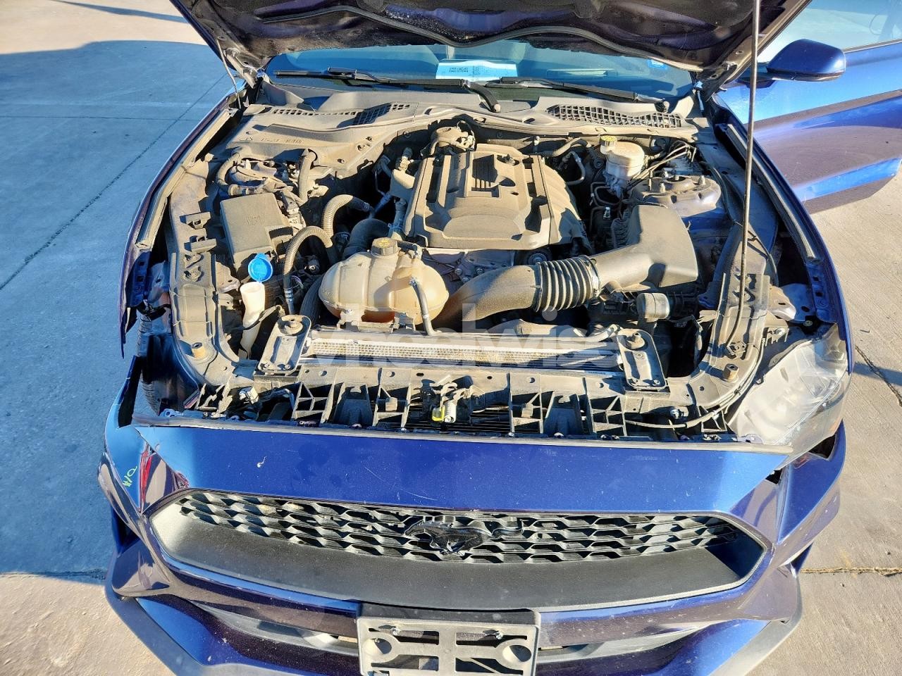 Photo 11 of 2020 FORD MUSTANG (VIN 1FA6P8TH1L5100854)