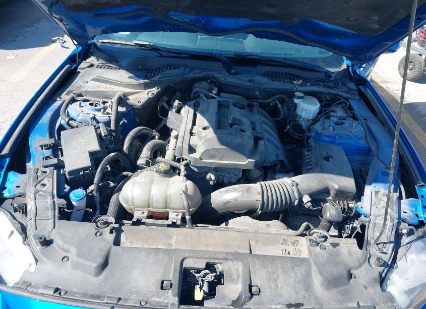 Photo 10 of 2020 Ford Mustang ECOBOOST (VIN 1FA6P8TH1L5183413)