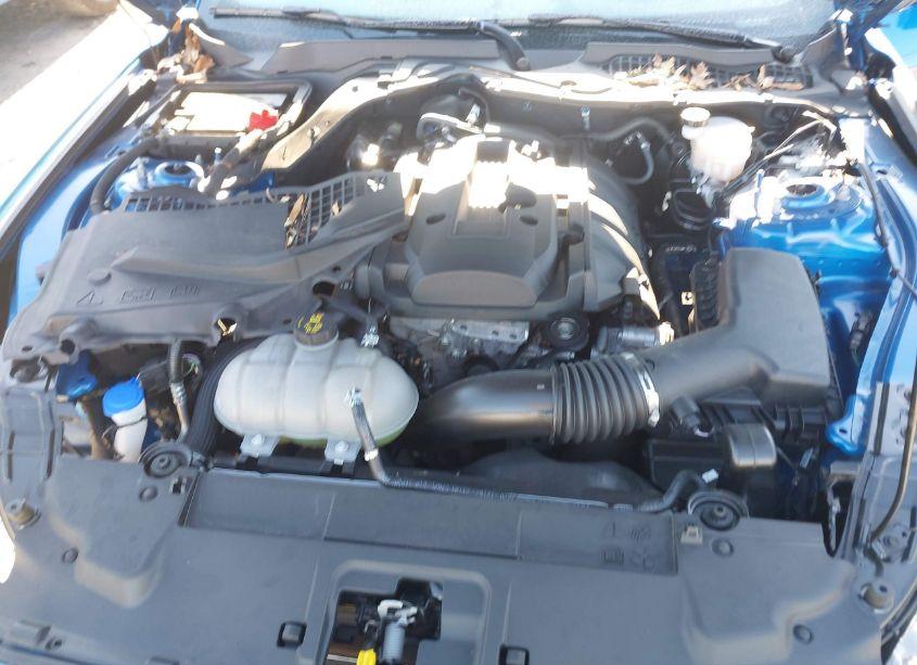 Photo 10 of 2020 Ford Mustang ECOBOOST FASTBACK (VIN 1FA6P8TH1L5189065)