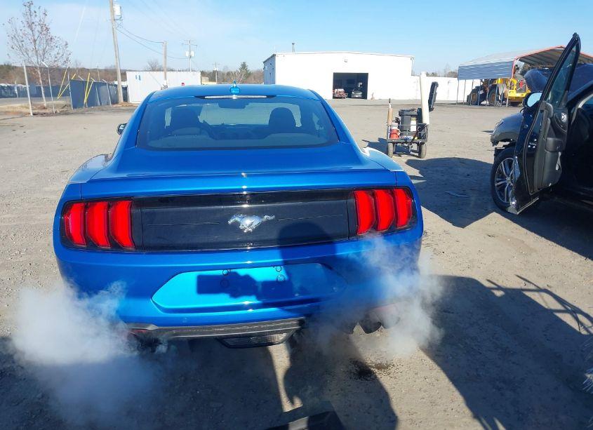 Photo 16 of 2020 Ford Mustang ECOBOOST FASTBACK (VIN 1FA6P8TH1L5189065)