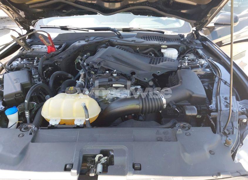 Photo 10 of 2021 Ford Mustang ECOBOOST FASTBACK (VIN 1FA6P8TH1M5137372)