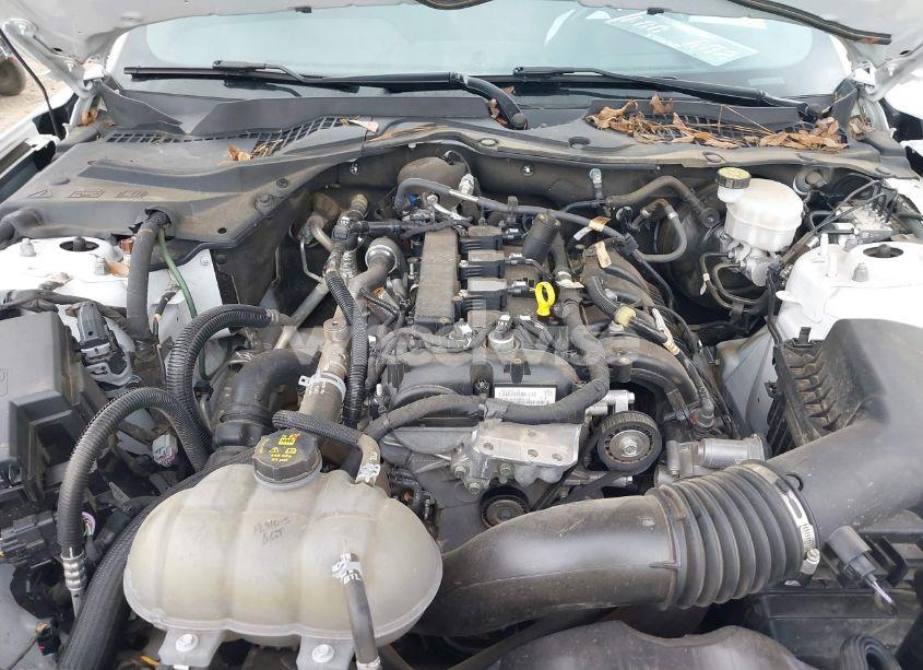 Photo 10 of 2022 Ford Mustang ECOBOOST (VIN 1FA6P8TH1N5118435)