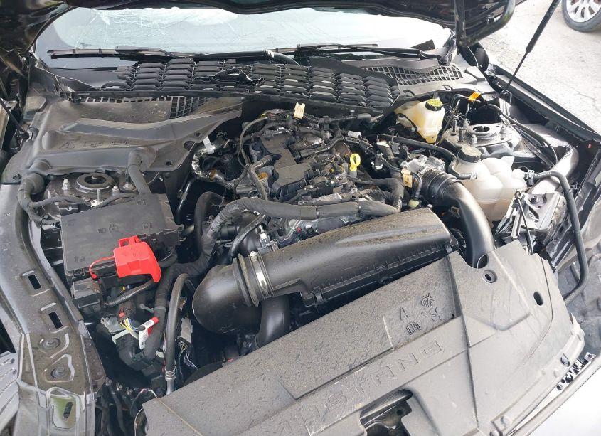 Photo 10 of 2024 Ford Mustang ECOBOOST PREMIUM (VIN 1FA6P8TH1R5116531)
