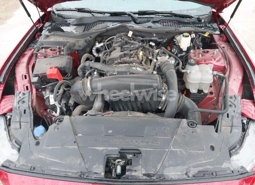 Photo 10 of 2024 Ford Mustang ECOBOOST FASTBACK (VIN 1FA6P8TH1R5118456)