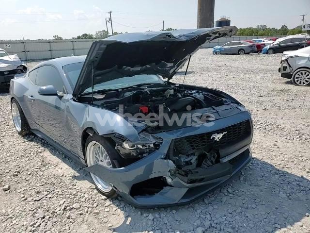 2024 FORD MUSTANG (VIN 1FA6P8TH1R5118599) main photo